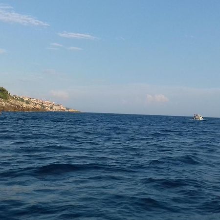Apartment Vuk i Novak Ulcinj Eksteriør bilde
