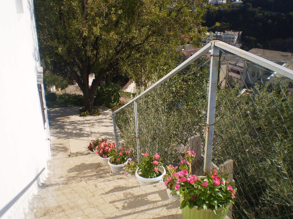 Apartment Vuk i Novak Ulcinj Eksteriør bilde