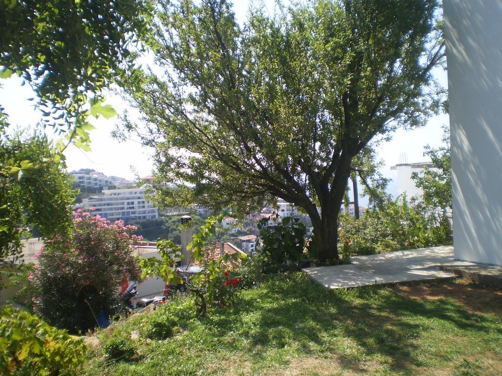 Apartment Vuk i Novak Ulcinj Eksteriør bilde