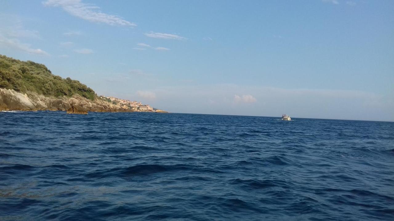 Apartment Vuk i Novak Ulcinj Eksteriør bilde