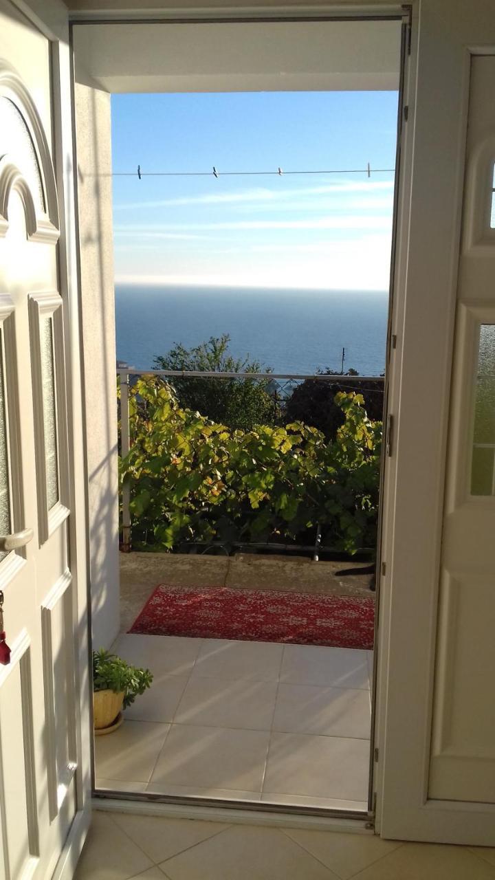 Apartment Vuk i Novak Ulcinj Eksteriør bilde