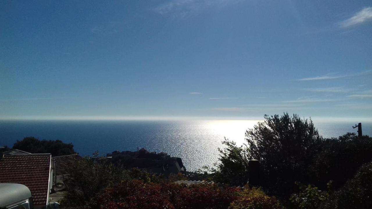Apartment Vuk i Novak Ulcinj Eksteriør bilde